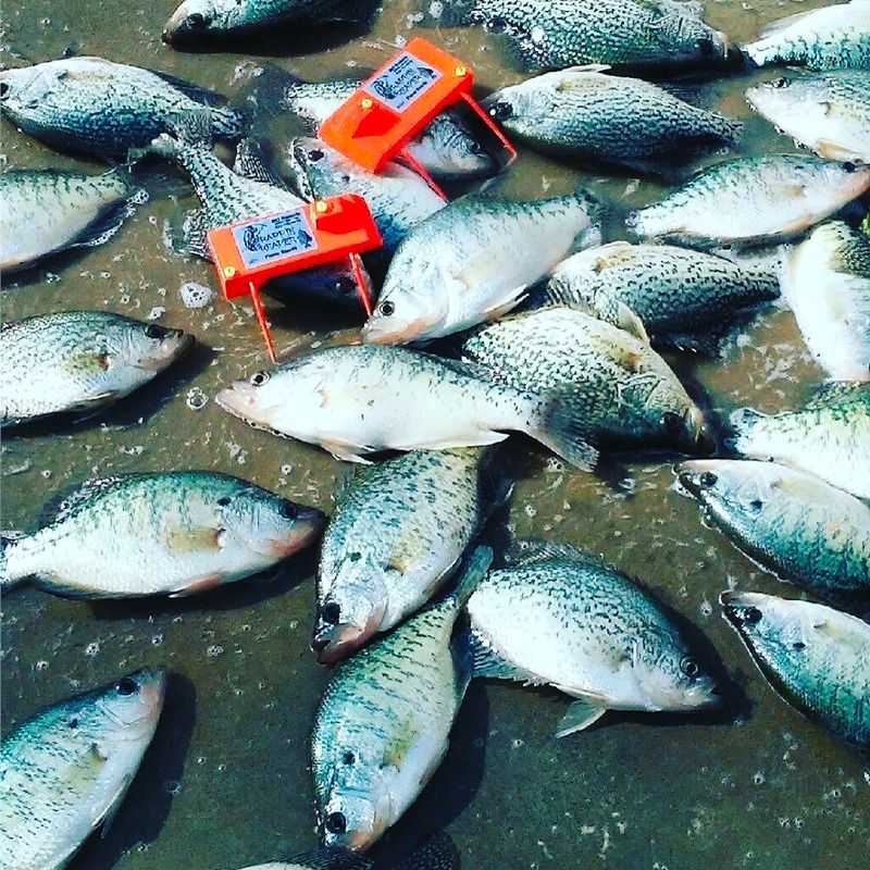 Crappie Reaper Planer Boards